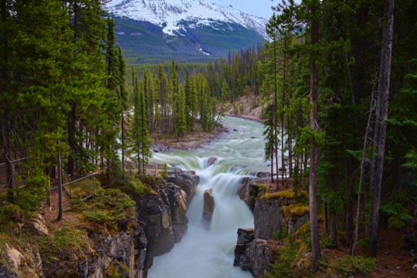 Stacks Image 105