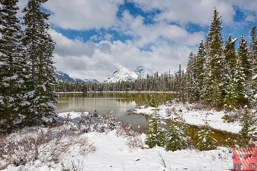 1655 Banff, Route 742 South, Mud Lake