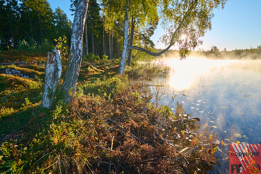 950 Paradiset Holmsjö