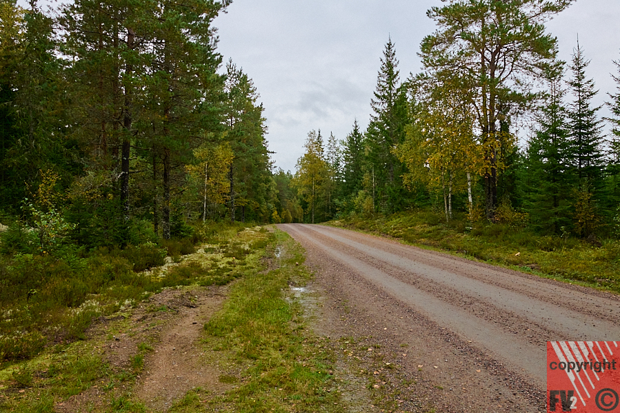 932 Glaskogens Naturreservat Glava