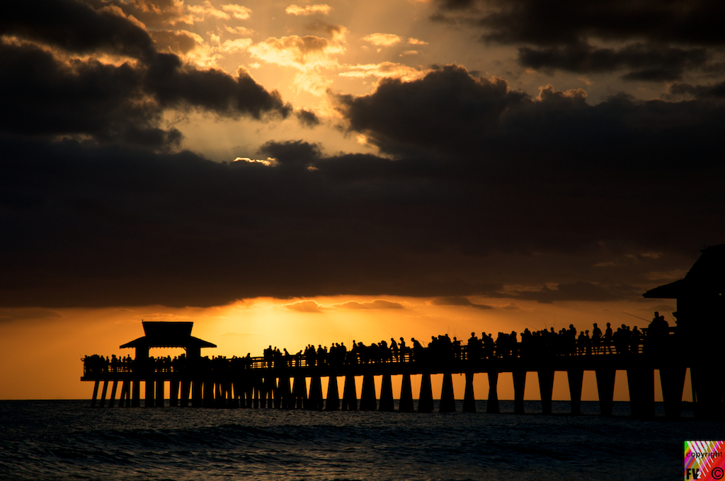 515 USA Florida Naples Pier