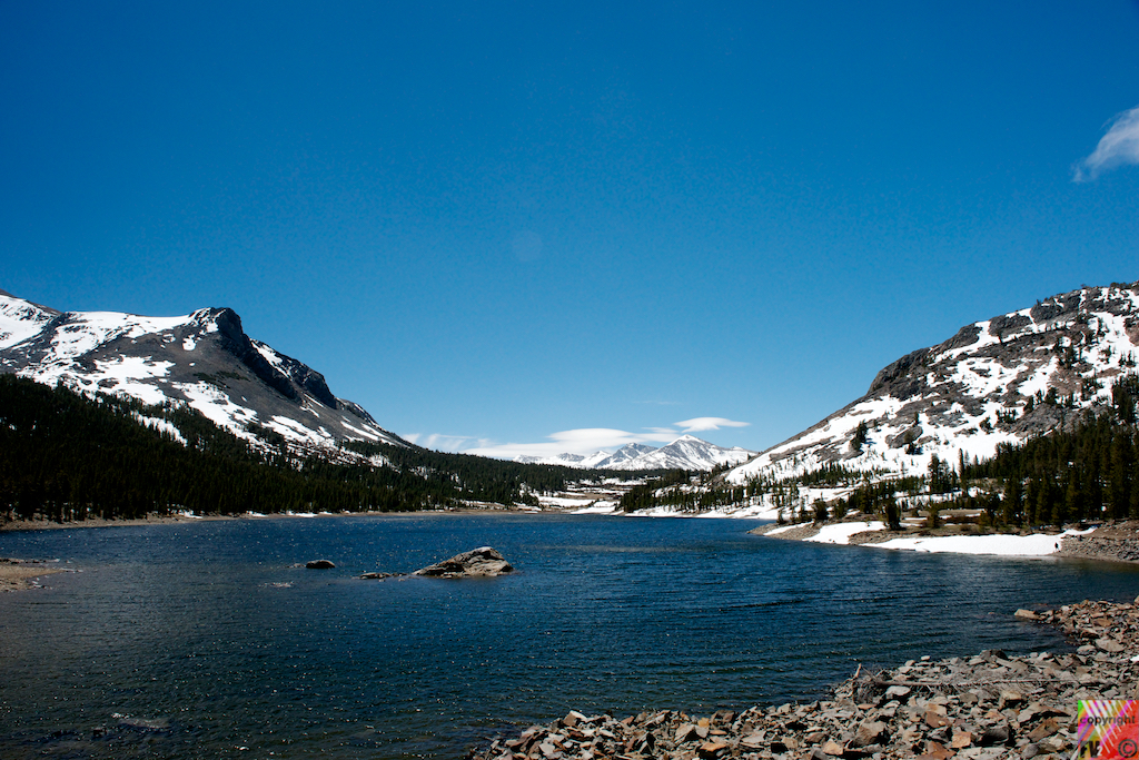 211 Tioga Road, Tenaya Lake