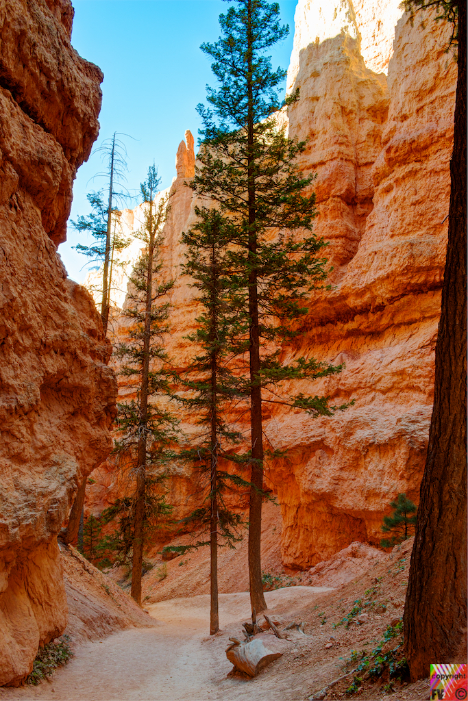 409 Navajo Loop Trail