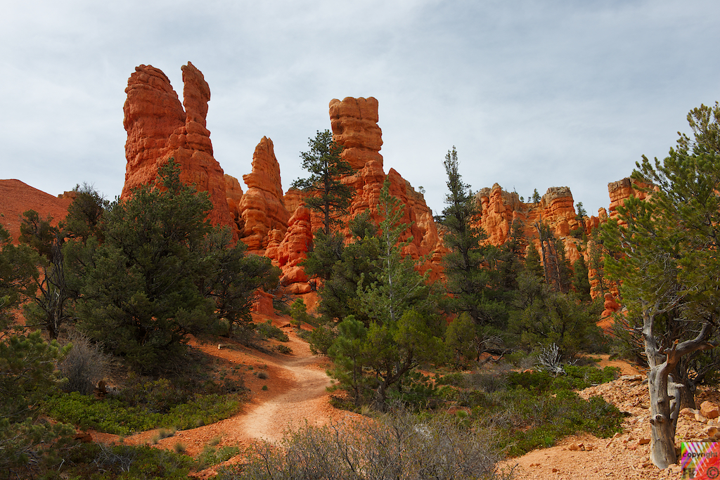 410 Red Canyon Trailhead