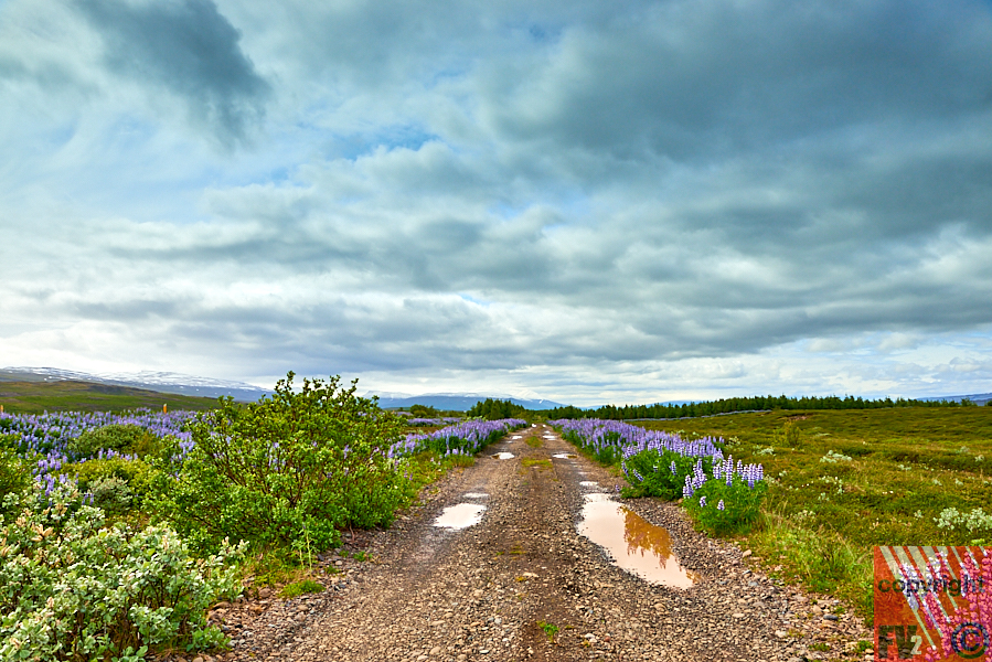 133 Iceland, south of Akureyri