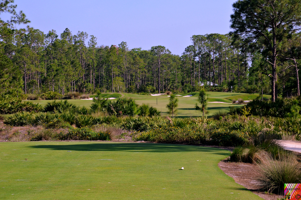 1509 Old Corkscrew Golf Course, Estero FL