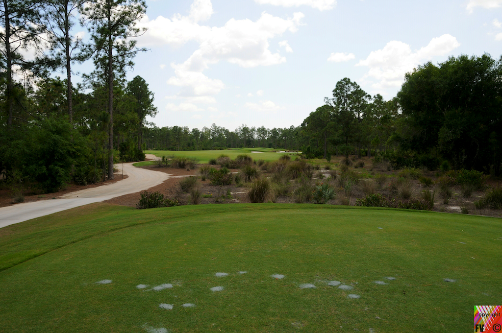 1506 Old Corkscrew Golf Course, Estero FL