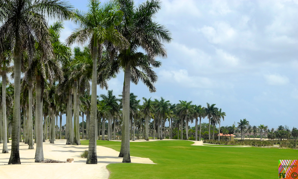 1504 Great White, Doral, Miami FL