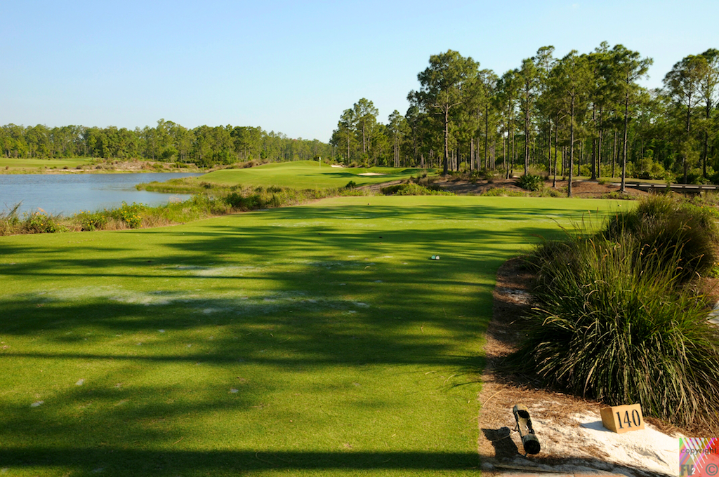 1507 Old Corkscrew Golf Course, Estero FL